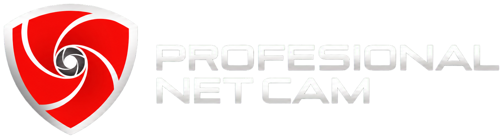 Professional Net Cam